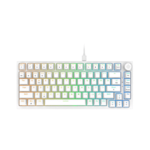 Cosmic Byte CB-GK-42 Phantom TKL Gasket Mechanical RGB Wired Keyboard