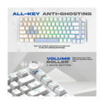 Cosmic Byte CB-GK-42 Phantom TKL Gasket Mechanical RGB Wired Keyboard